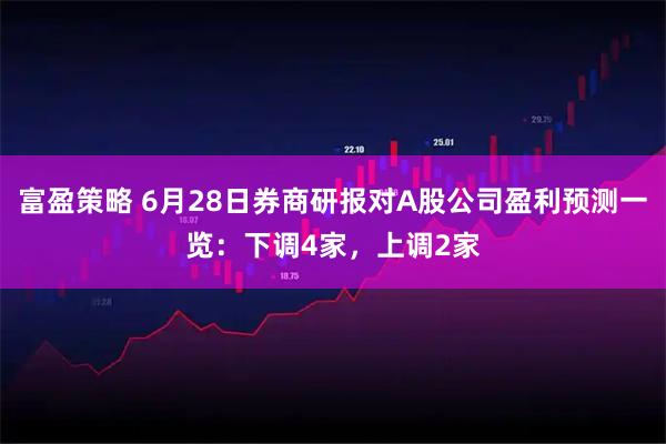 富盈策略 6月28日券商研报对A股公司盈利预测一览：下调4家，上调2家