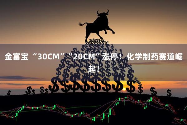 金富宝 “30CM”“20CM”涨停！化学制药赛道崛起！